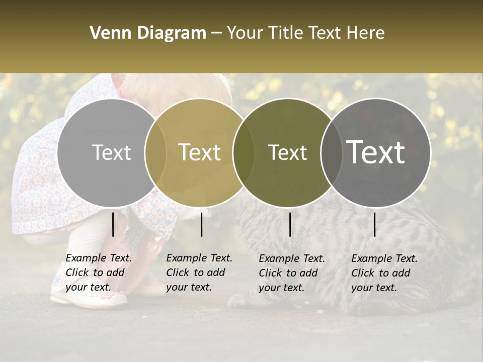 Power Conditioner Switch PowerPoint Template