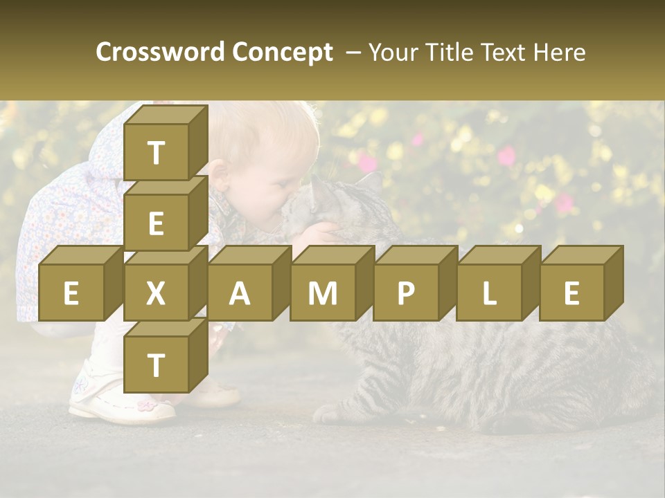 Power Conditioner Switch PowerPoint Template