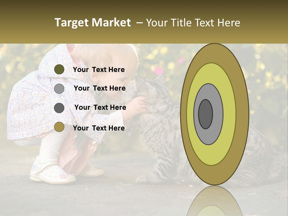 Power Conditioner Switch PowerPoint Template