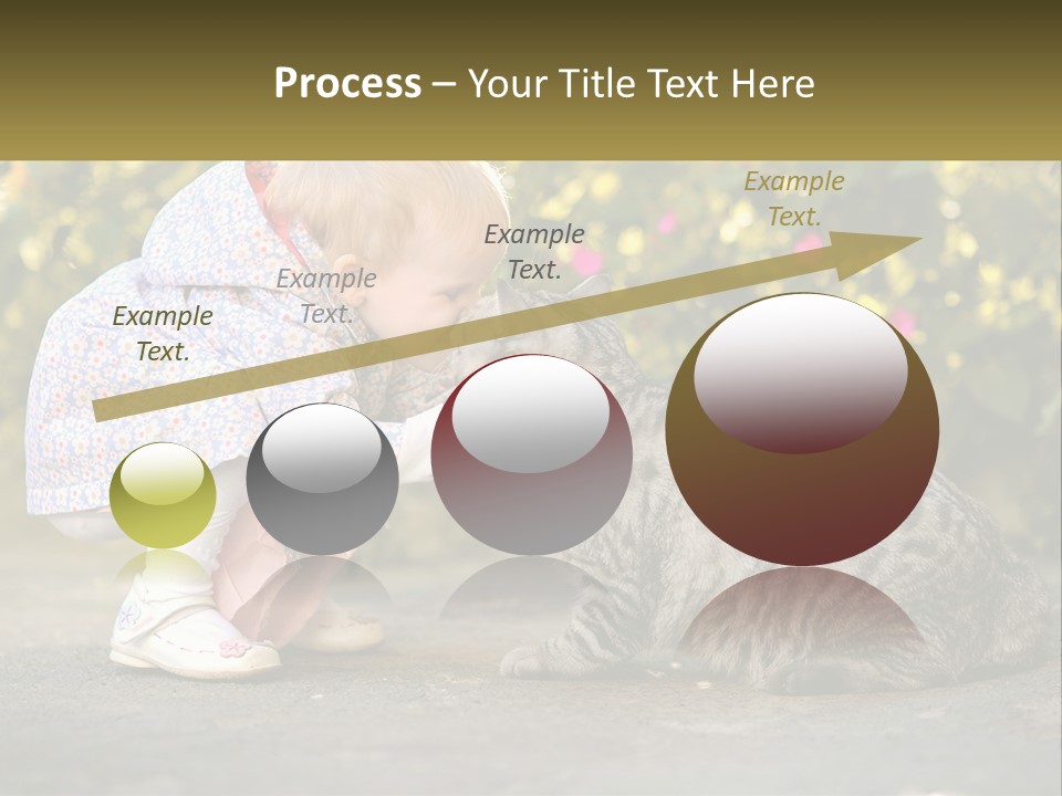 Power Conditioner Switch PowerPoint Template