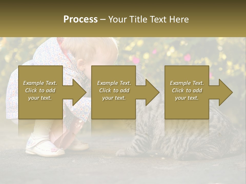 Power Conditioner Switch PowerPoint Template