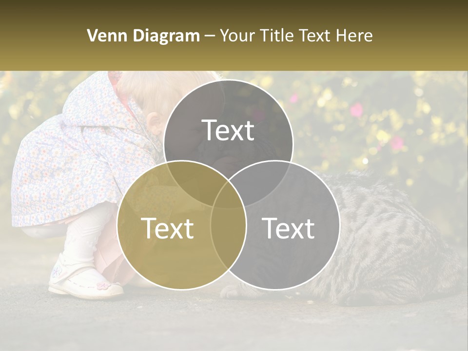 Power Conditioner Switch PowerPoint Template