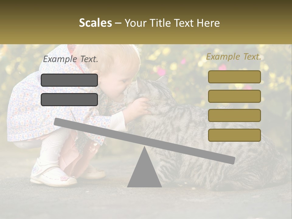 Power Conditioner Switch PowerPoint Template