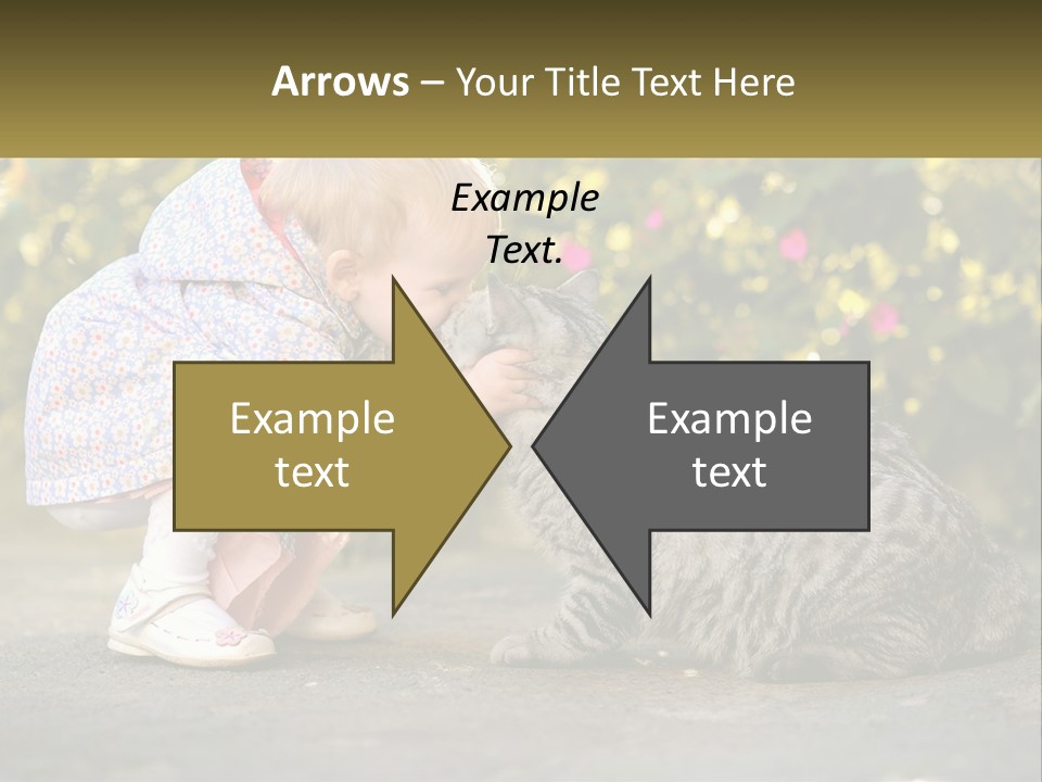 Power Conditioner Switch PowerPoint Template