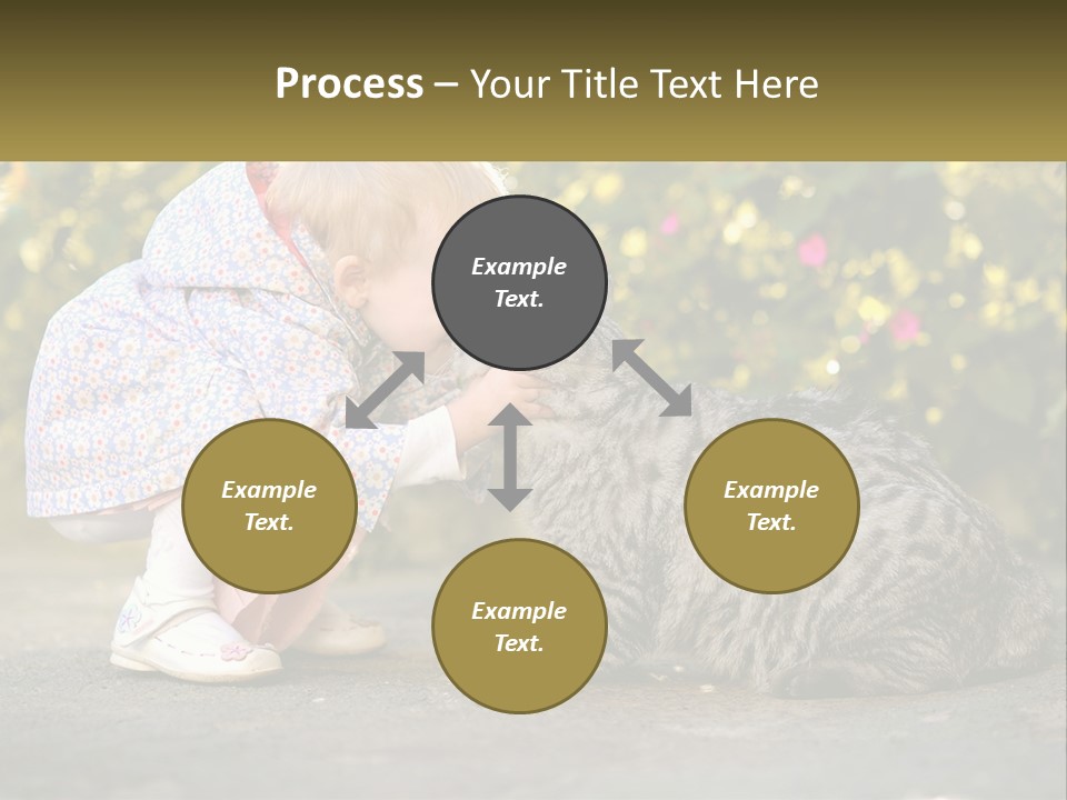 Power Conditioner Switch PowerPoint Template