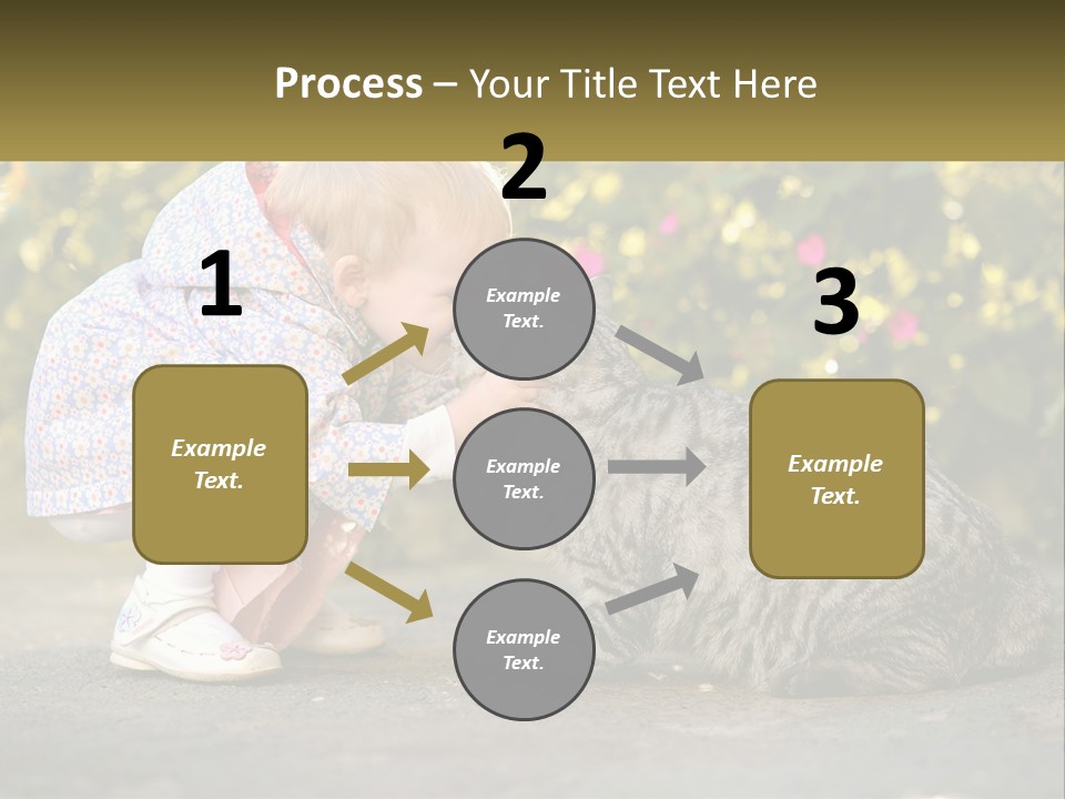 Power Conditioner Switch PowerPoint Template