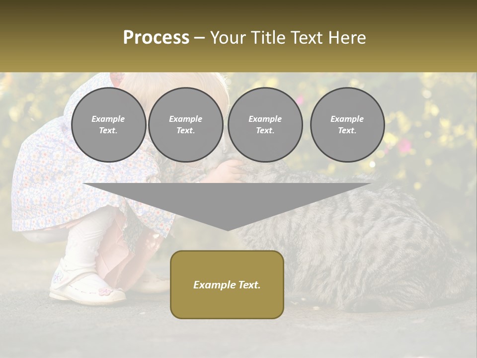 Power Conditioner Switch PowerPoint Template