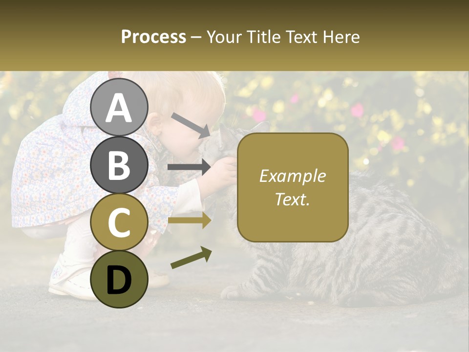 Power Conditioner Switch PowerPoint Template