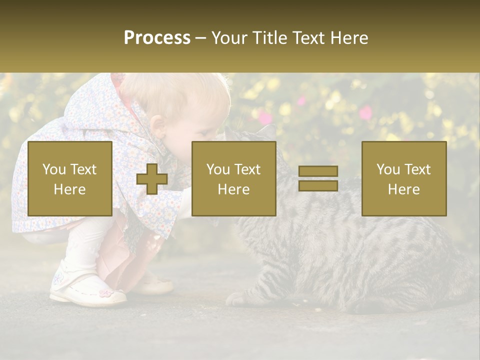 Power Conditioner Switch PowerPoint Template