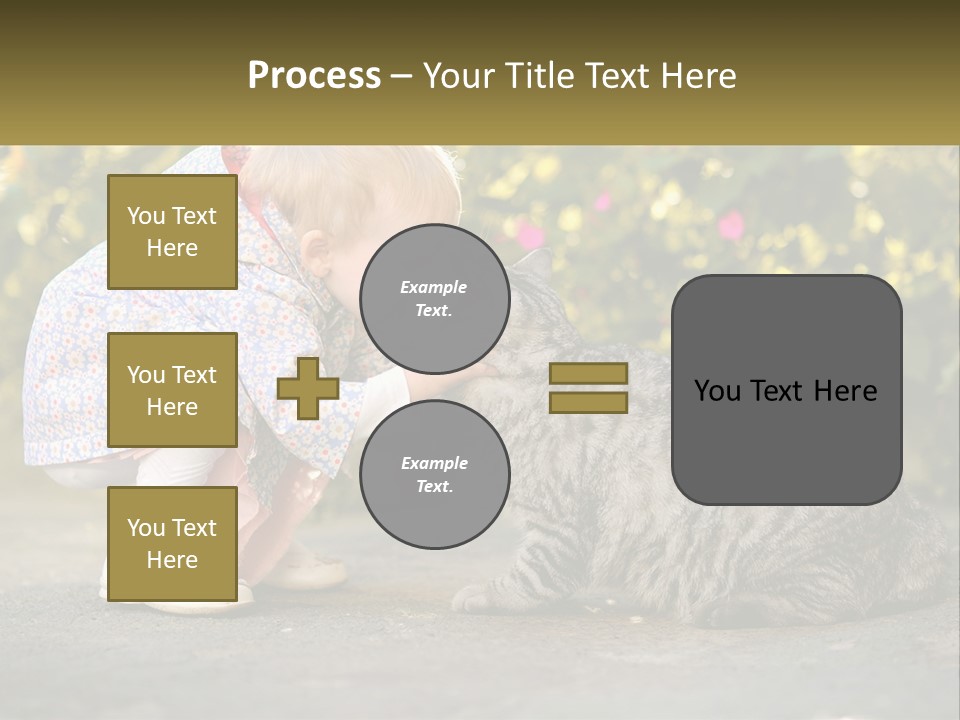 Power Conditioner Switch PowerPoint Template