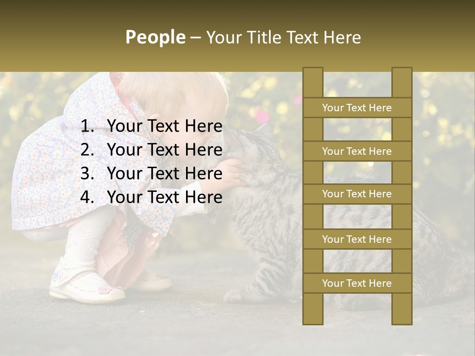 Power Conditioner Switch PowerPoint Template