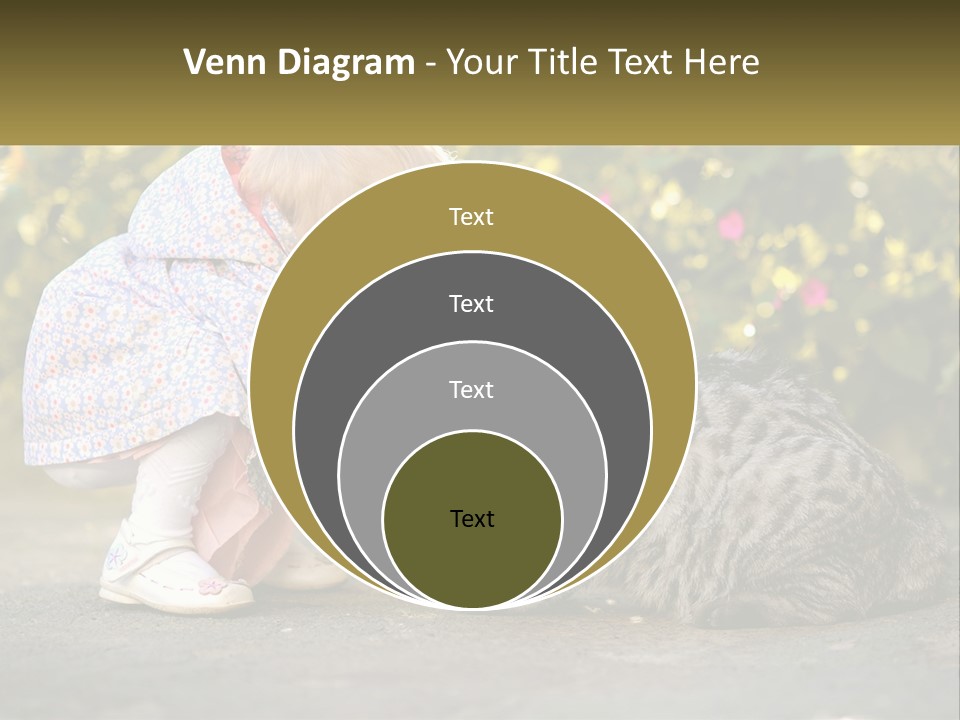 Power Conditioner Switch PowerPoint Template