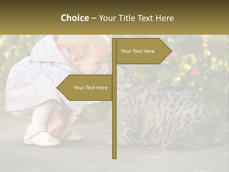 Power Conditioner Switch PowerPoint Template