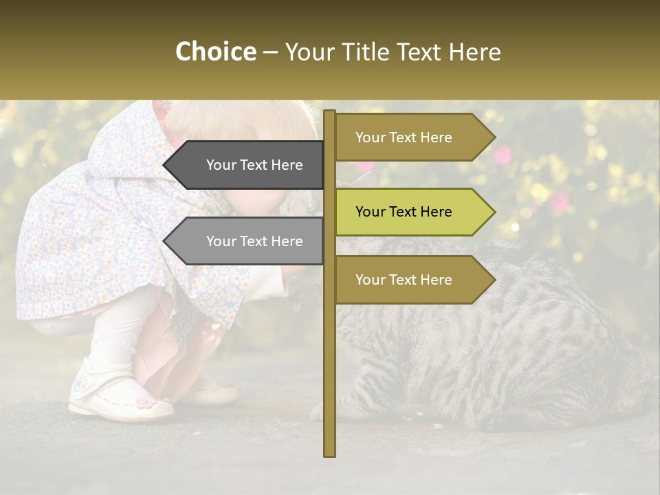 Power Conditioner Switch PowerPoint Template