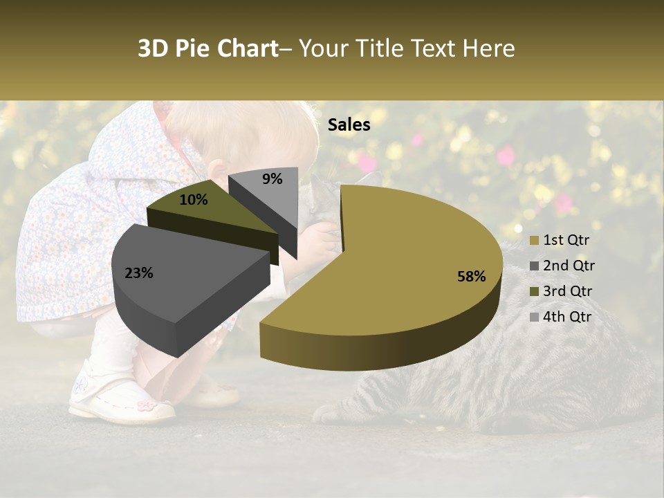 Power Conditioner Switch PowerPoint Template