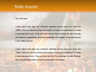 Conditioner Technology House PowerPoint Template