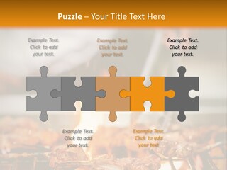 Conditioner Technology House PowerPoint Template