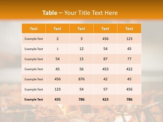 Conditioner Technology House PowerPoint Template