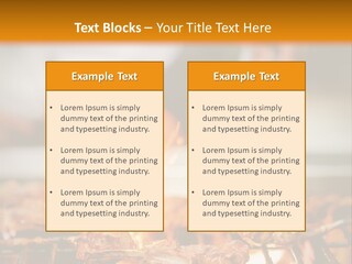 Conditioner Technology House PowerPoint Template