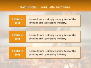 Conditioner Technology House PowerPoint Template