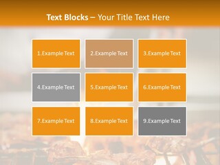 Conditioner Technology House PowerPoint Template