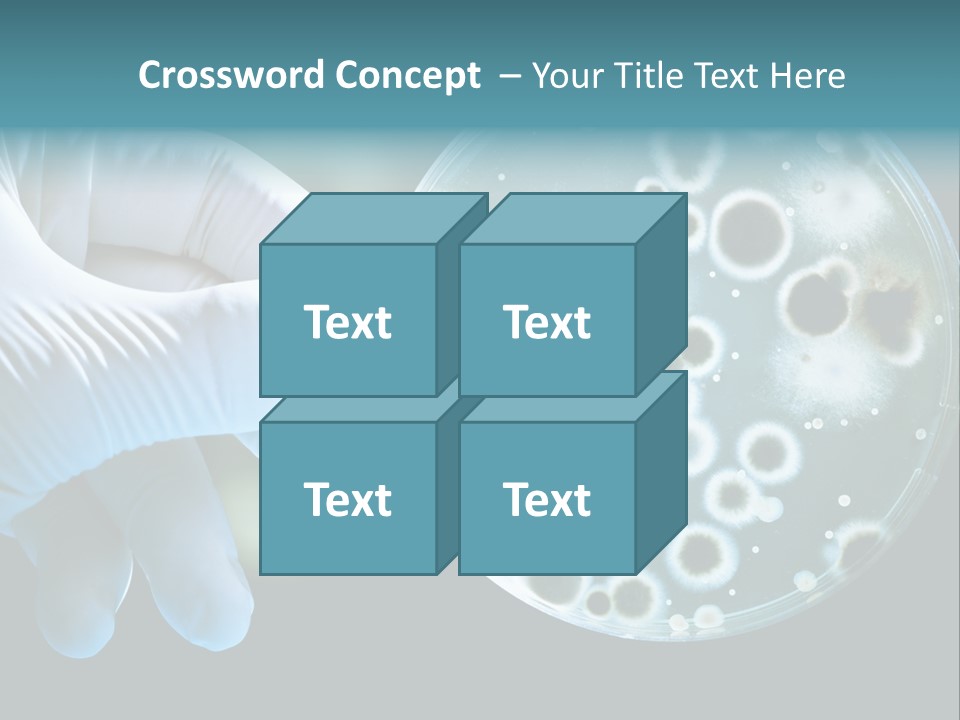 Home Part Electric PowerPoint Template