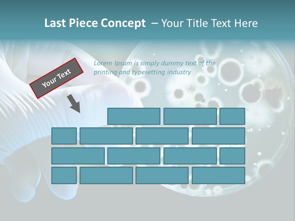Home Part Electric PowerPoint Template