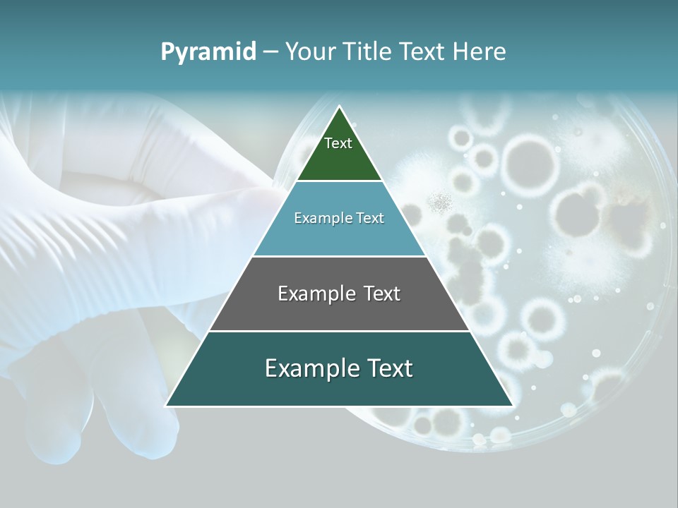 Home Part Electric PowerPoint Template