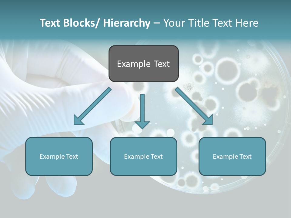 Home Part Electric PowerPoint Template