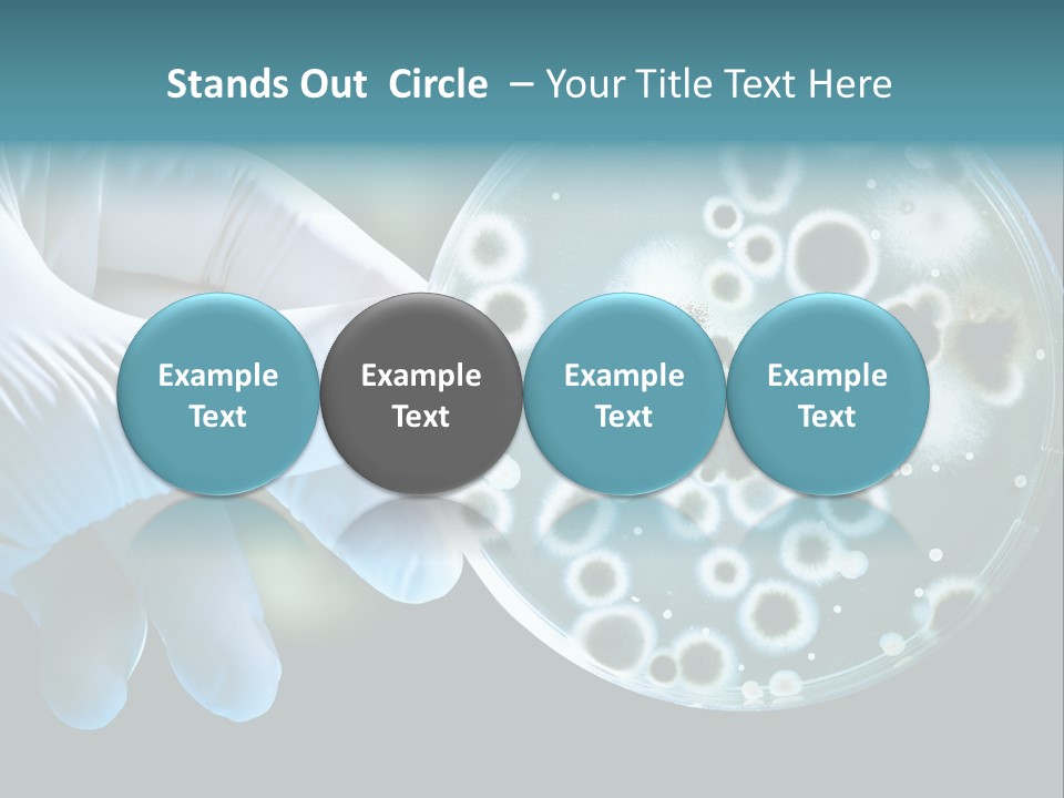 Home Part Electric PowerPoint Template