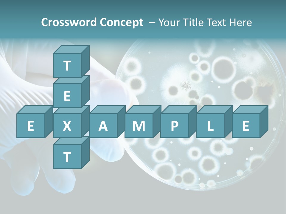 Home Part Electric PowerPoint Template