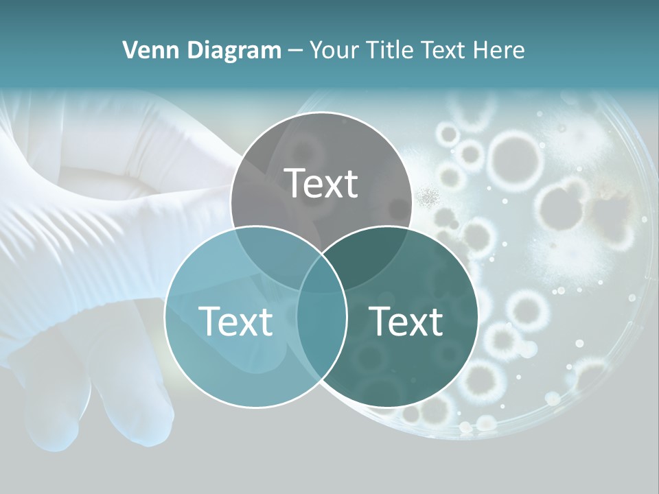 Home Part Electric PowerPoint Template