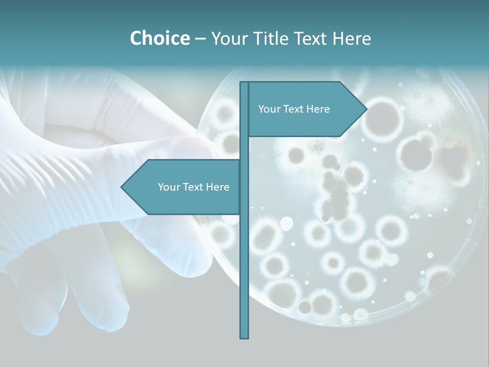 Home Part Electric PowerPoint Template