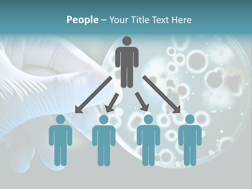 Home Part Electric PowerPoint Template