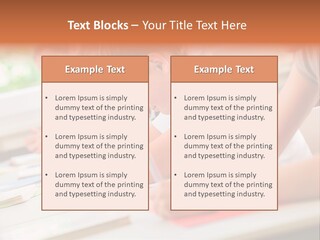 Part Home Industry PowerPoint Template