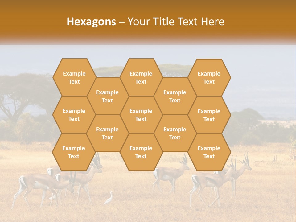 Conditioner Air Switch PowerPoint Template