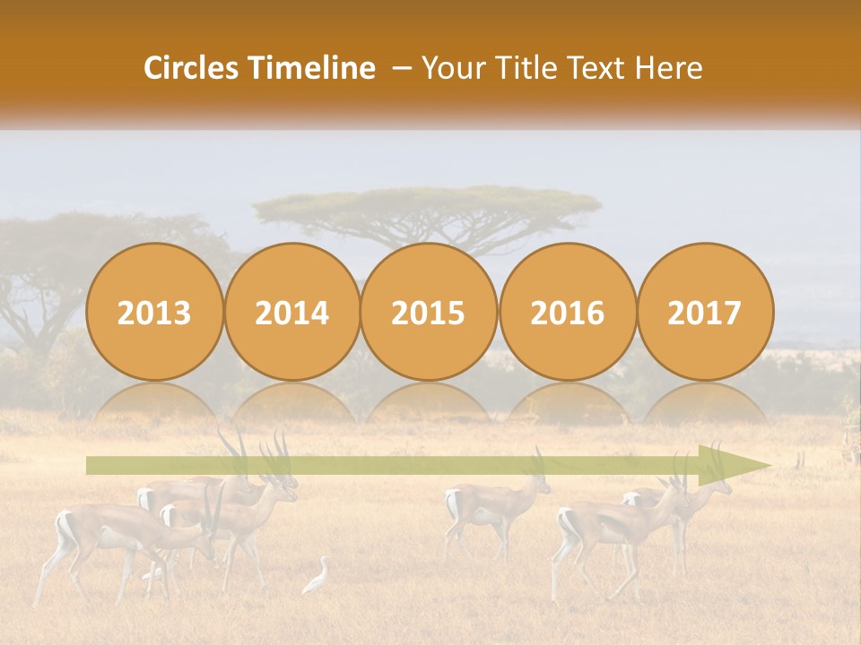 Conditioner Air Switch PowerPoint Template