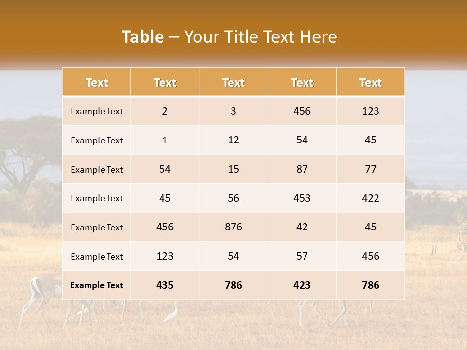 Conditioner Air Switch PowerPoint Template