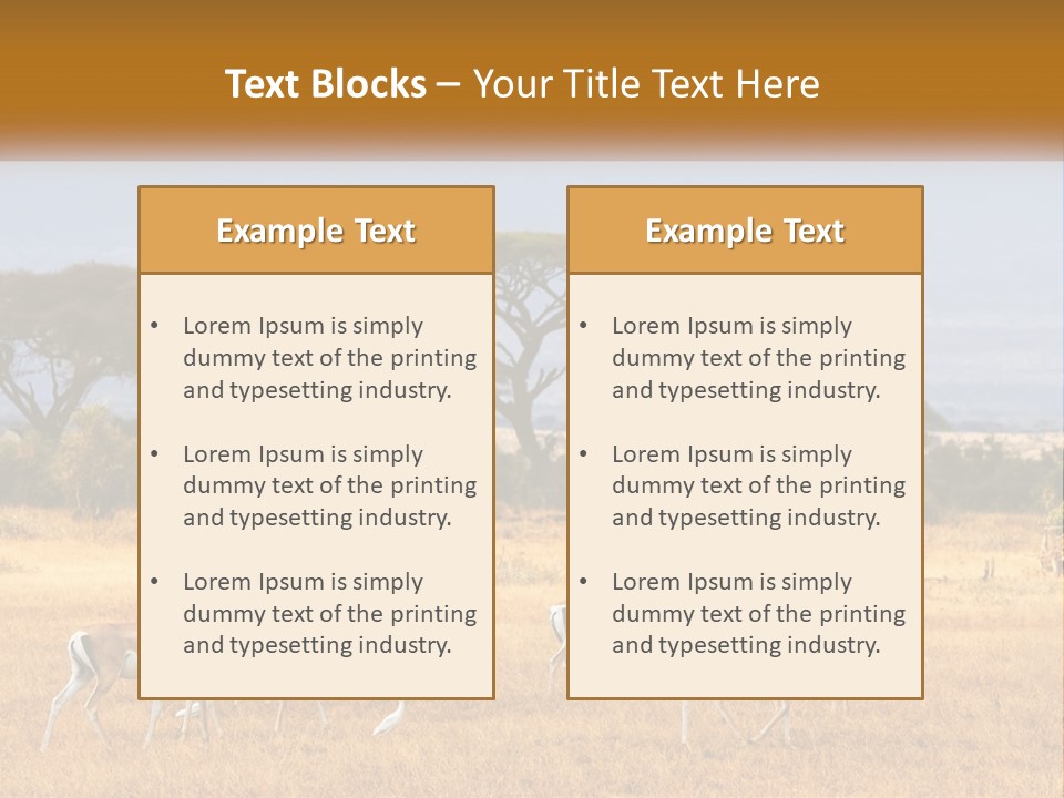 Conditioner Air Switch PowerPoint Template