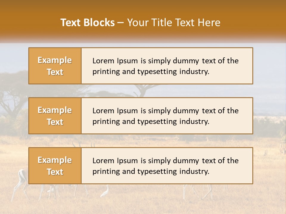 Conditioner Air Switch PowerPoint Template