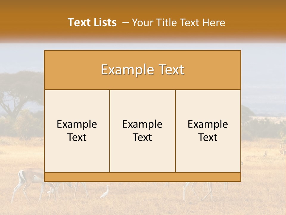 Conditioner Air Switch PowerPoint Template