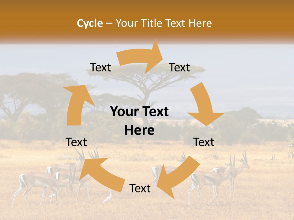 Conditioner Air Switch PowerPoint Template