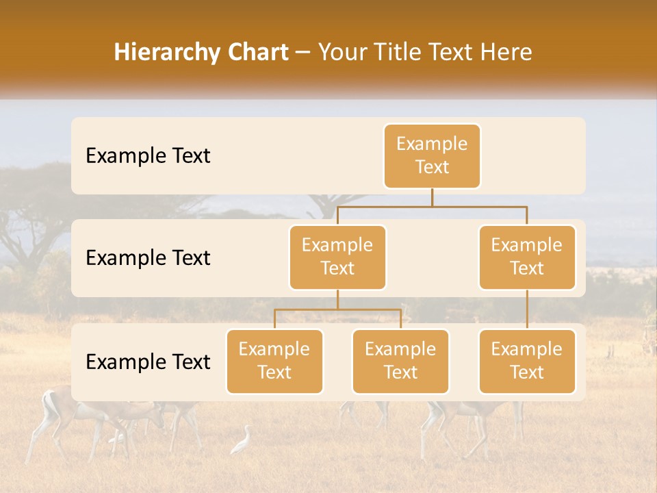 Conditioner Air Switch PowerPoint Template