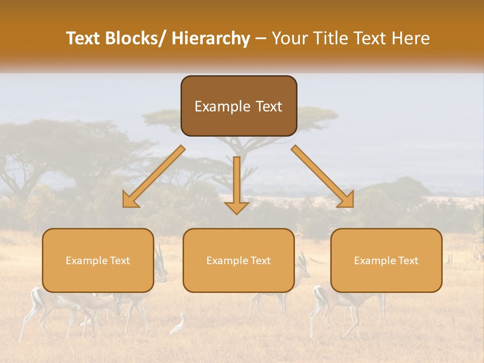 Conditioner Air Switch PowerPoint Template