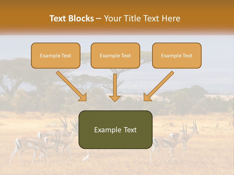 Conditioner Air Switch PowerPoint Template