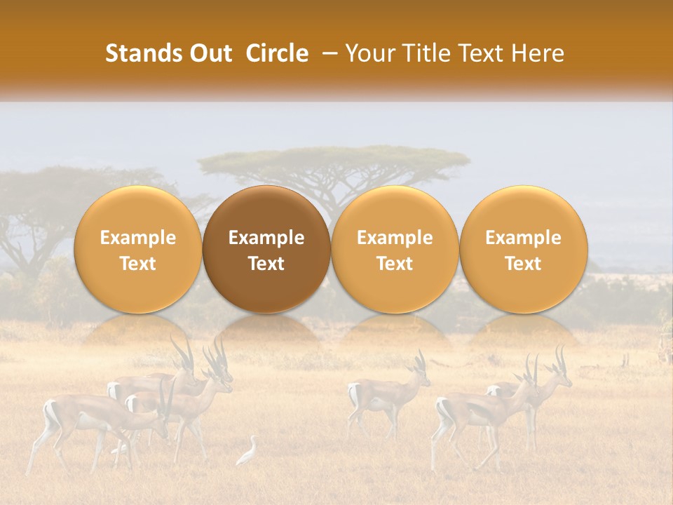 Conditioner Air Switch PowerPoint Template