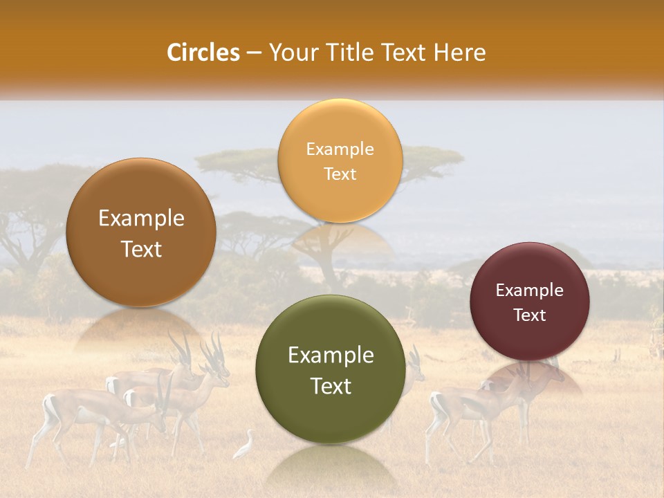 Conditioner Air Switch PowerPoint Template