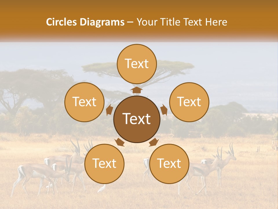 Conditioner Air Switch PowerPoint Template