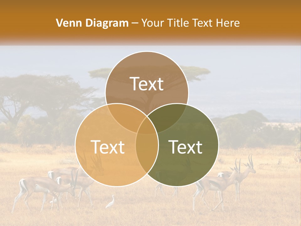 Conditioner Air Switch PowerPoint Template