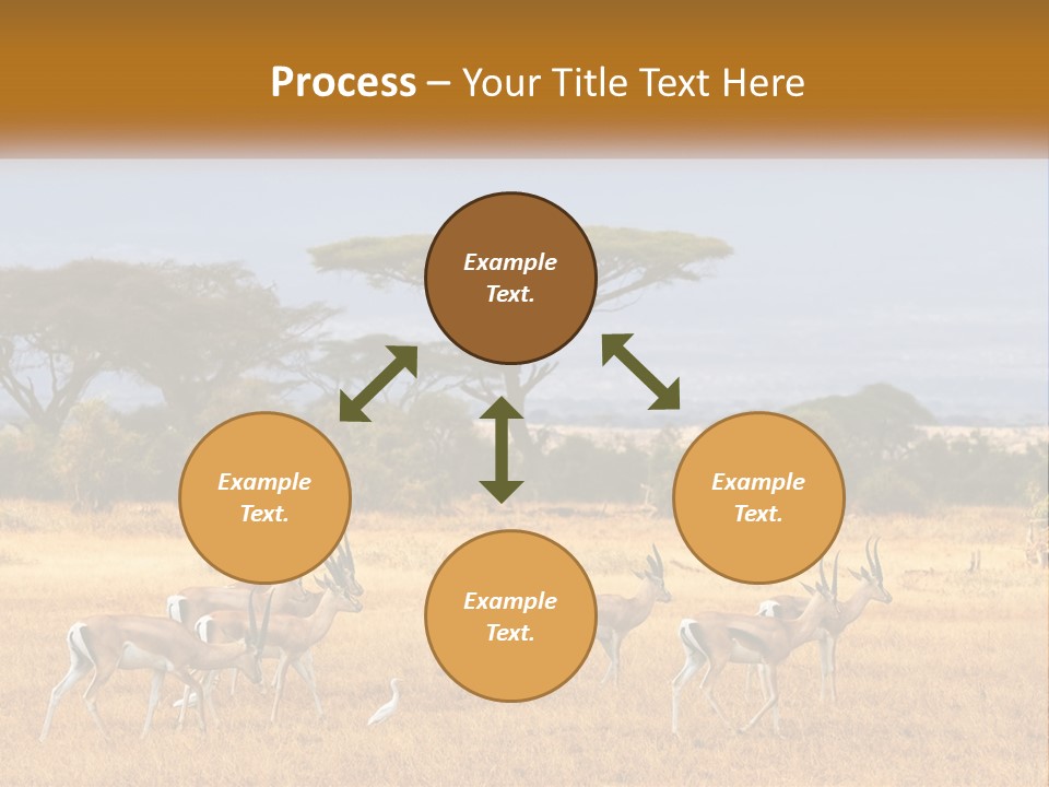 Conditioner Air Switch PowerPoint Template